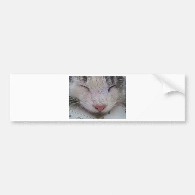 Sleeping Cat Bumper Sticker (Front)