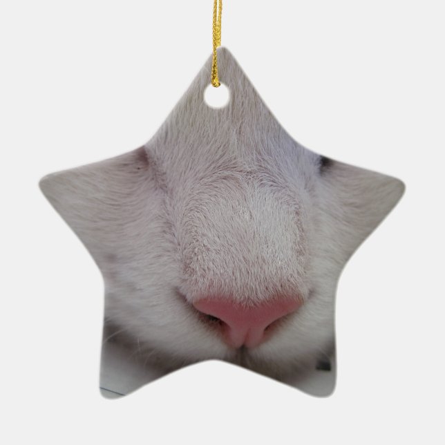 Sleeping Cat Ceramic Ornament (Front)