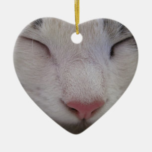 Sleeping Cat Ceramic Ornament