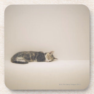 Sleeping cat coaster