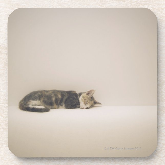 Sleeping cat coaster (Front)