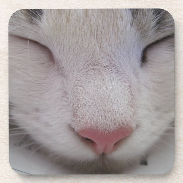 Sleeping Cat Coaster (Front)