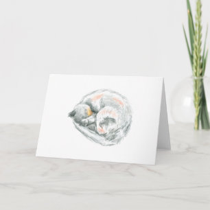 Sleeping Cat Drawing Holiday Card