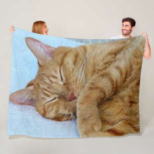 Sleeping Cat Fleece Blanket