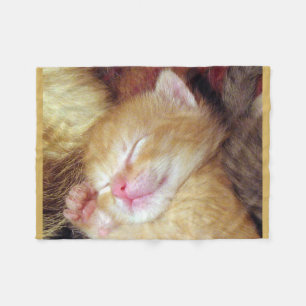 Sleeping Cat Fleece Blanket