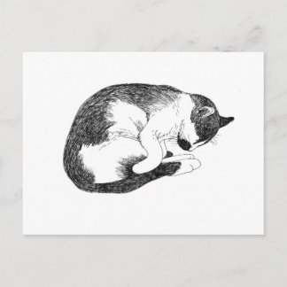 Sleeping Cat – Gentle Reminder to Rest Postcard