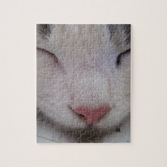 Sleeping Cat Jigsaw Puzzle (Vertical)
