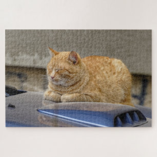Sleeping cat jigsaw puzzle