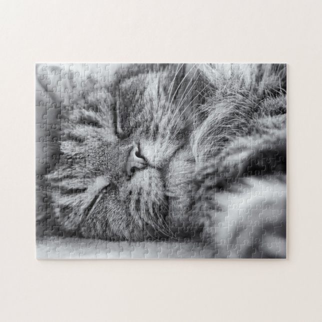 Sleeping Cat Jigsaw Puzzle (Horizontal)