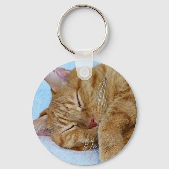 Sleeping Cat Keychain (Front)