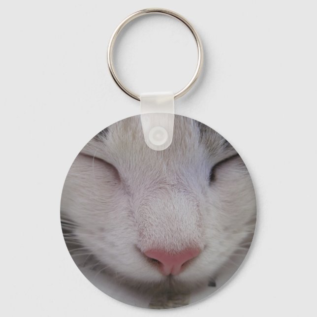 Sleeping Cat Keychain (Front)