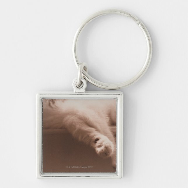 Sleeping Cat Keychain (Front)