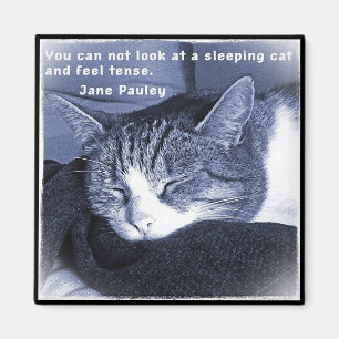 Sleeping cat magnet