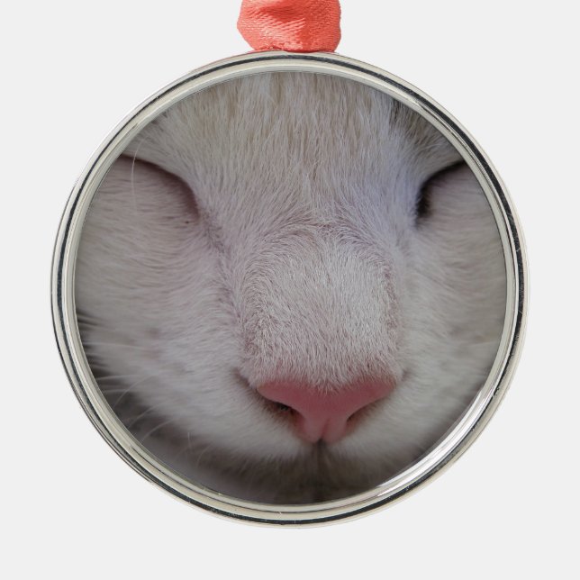 Sleeping Cat Metal Ornament (Front)