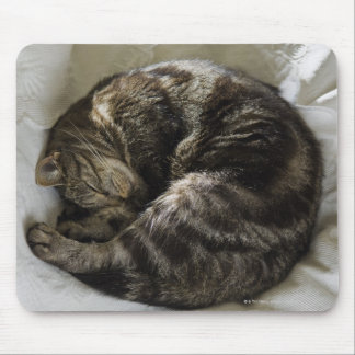 Sleeping cat mouse pad