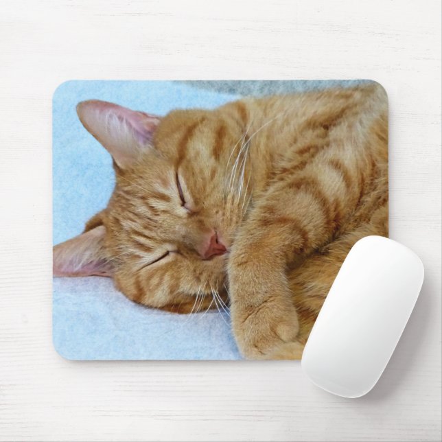 Sleeping Cat Mouse Pad (With Mouse)