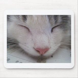 Sleeping Cat Mouse Pad