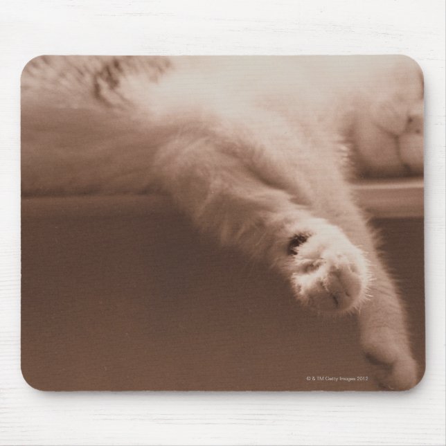 Sleeping Cat Mouse Pad (Front)