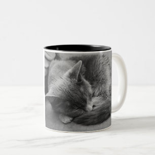 Sleeping Cat mug