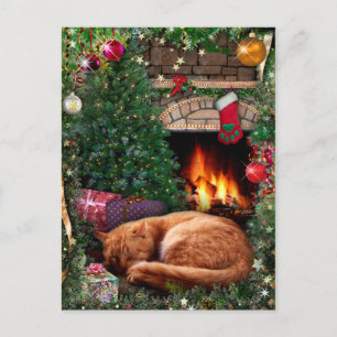 Sleeping Cat next to the Fireplace on Christmas Holiday Postcard