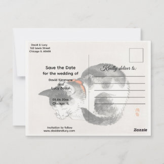 Sleeping Cat  Postcard