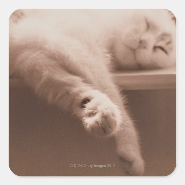 Sleeping Cat Square Sticker (Front)