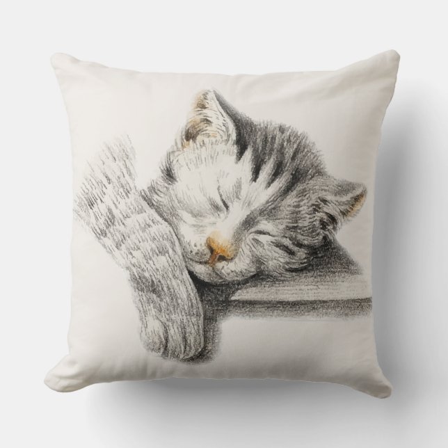 Sleeping Cat Throw Pillow (Front)