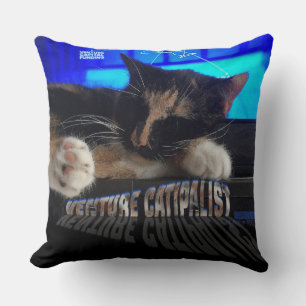 Sleeping Cat Throw Pillow