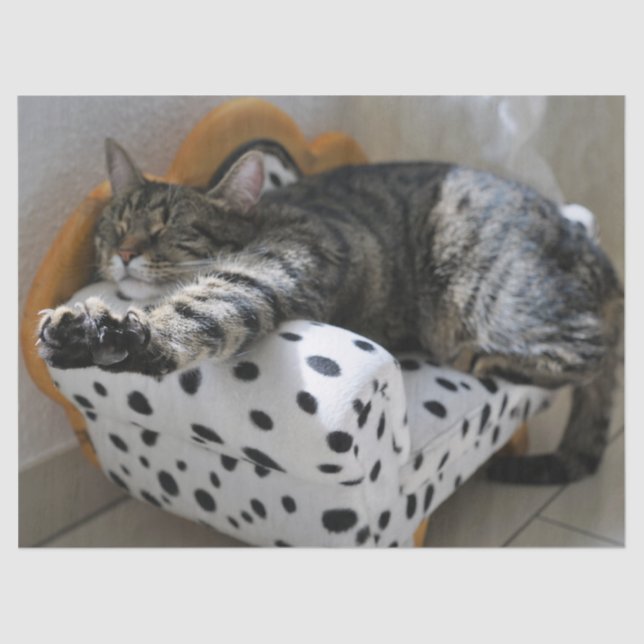 sleeping cat tissue paper (Front)