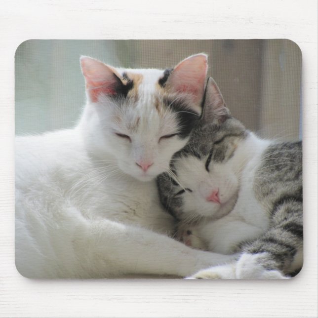 Sleeping Cats Mousepad (Front)