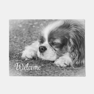 Sleeping Cavalier Doormat