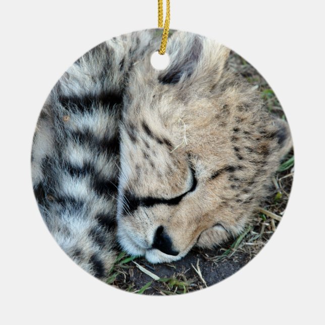 Sleeping Cheetah Cub Photo Ceramic Ornament (Front)