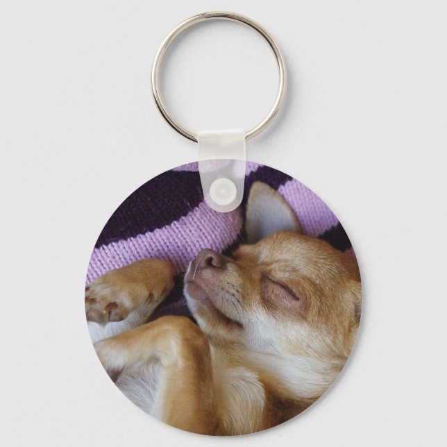 Sleeping Chihuahua Keychain (Front)