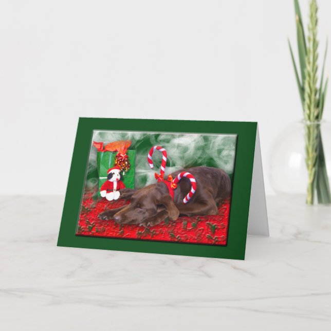 Sleeping Chocolate Lab With Peppermint Stick Hat Holiday Card (Front)