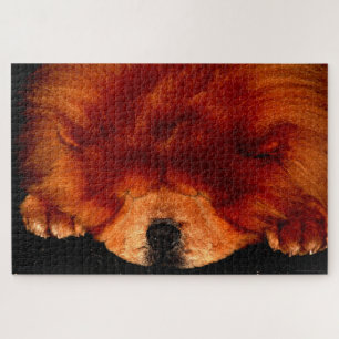 Sleeping Chow Chow 20x30 1014pc jpcnm Jigsaw Puzzle