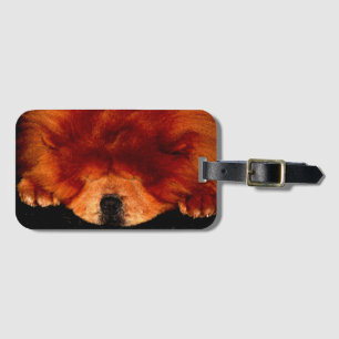 Sleeping Chow Chow bc ltcnm Luggage Tag