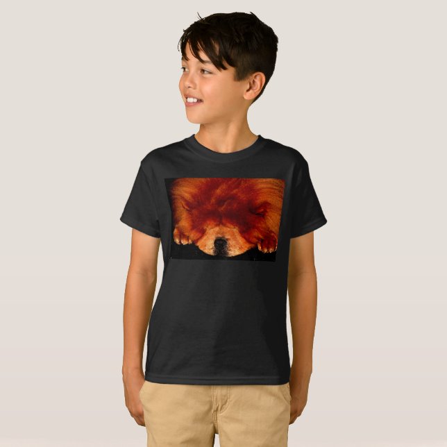 Sleeping Chow Chow bccnm T-Shirt (Front Full)