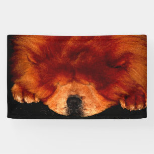Sleeping Chow Chow bnrcnm Banner