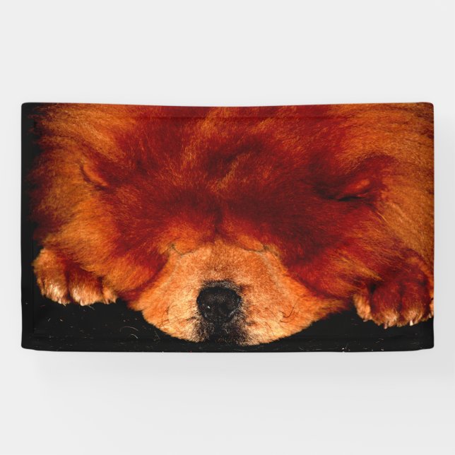 Sleeping Chow Chow bnrcnm Banner (Horizontal)