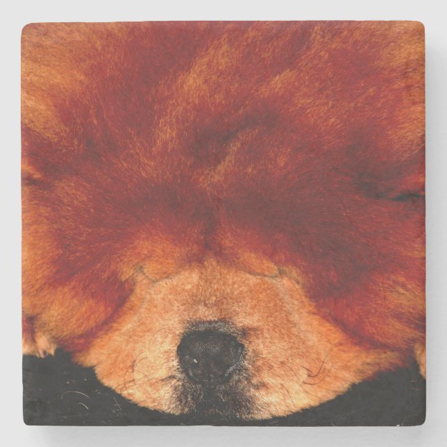 Sleeping Chow Chow coastercnm Stone Coaster (Front)
