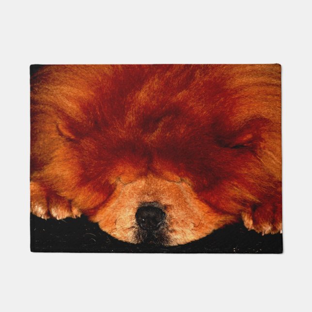 Sleeping Chow Chow dmcna Doormat (Front)