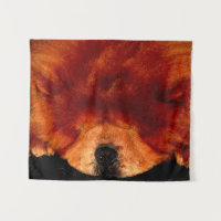 Sleeping Chow Chow wta