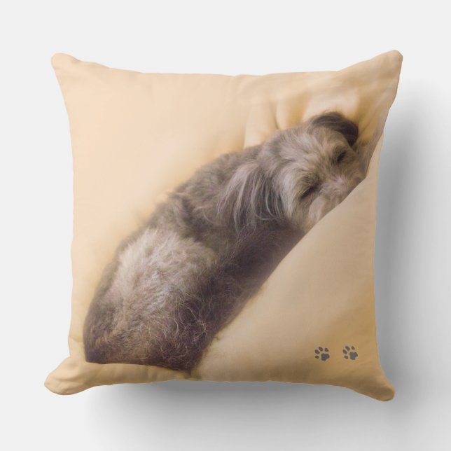 SLEEPING CUSHION FOR DOG (Front)