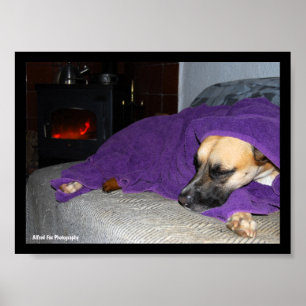Sleeping Dog by Fireplace Poster