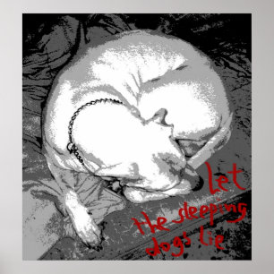 Sleeping dog (poster) poster
