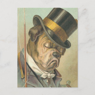 "Sleeping Dog" Vintage Illustration Postcard