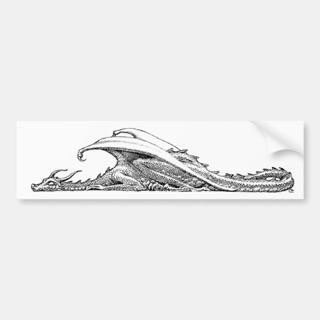 Sleeping Dragon Bumper Sticker (Front)