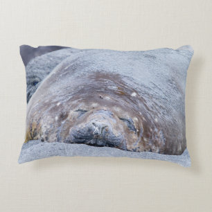 Sleeping elephant seal accent pillow