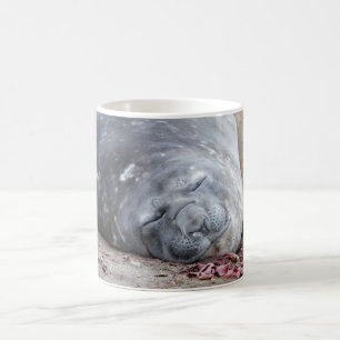 Sleeping elephant seal coffee mug