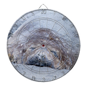 Sleeping elephant seal dartboard